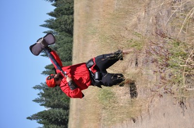 DSC 1561