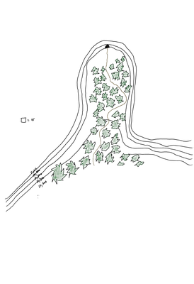 WCM0003a