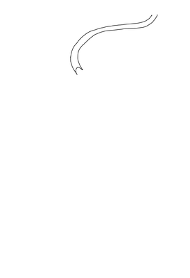 WCM0006